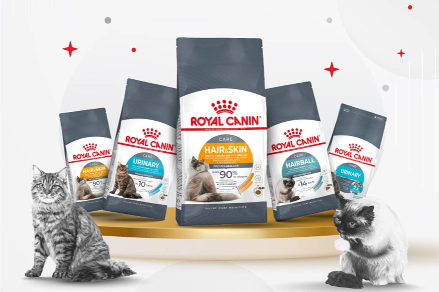 Royal-Canin catfood